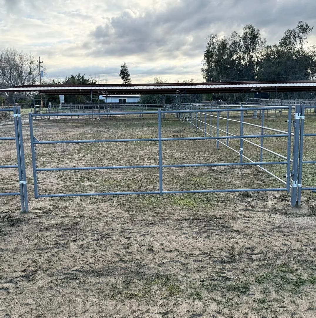 Standard Arena Swing Gate 4 ft × 12 ft (5-Rail) 14 Gauge, view 2