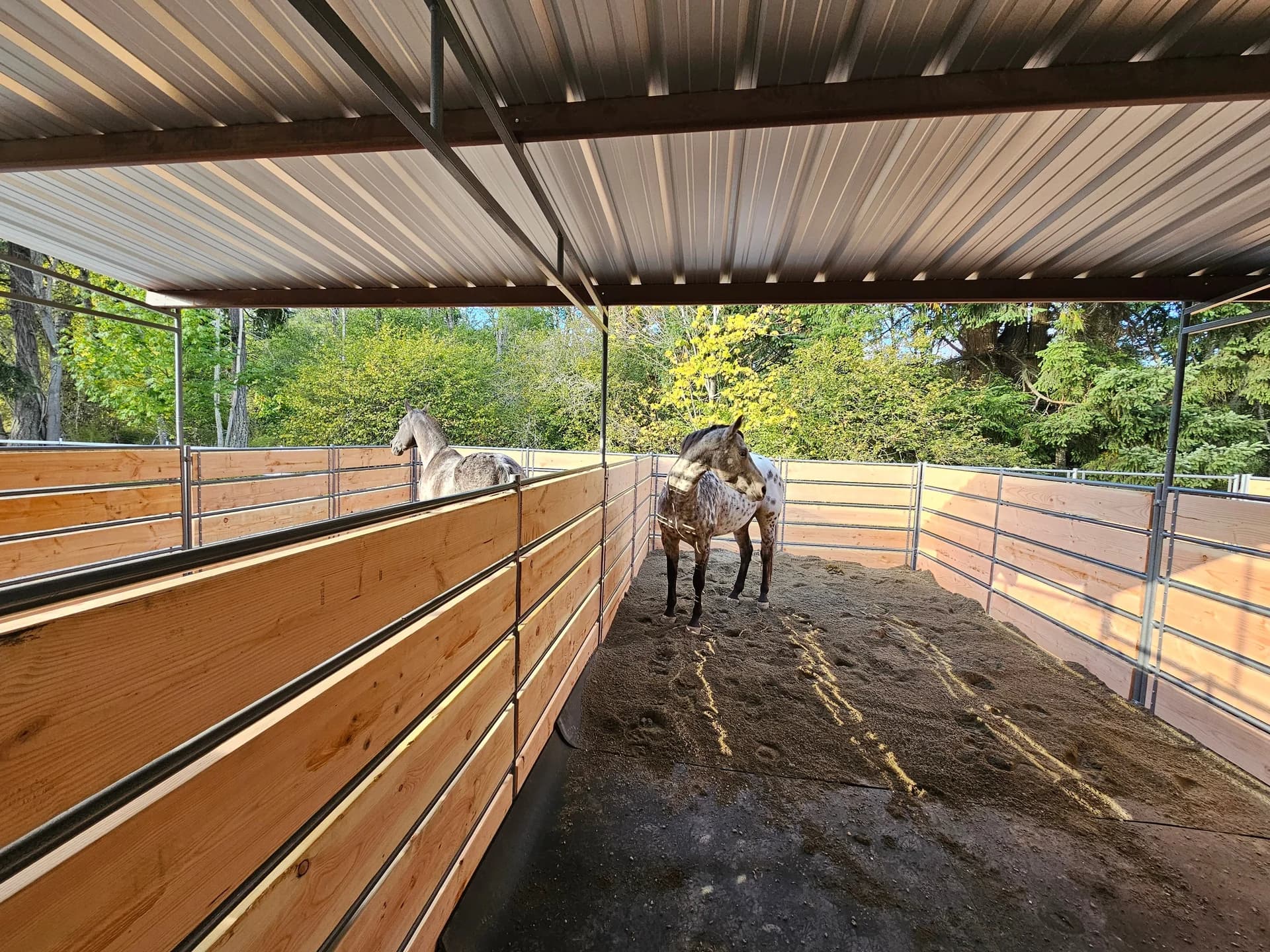 Mare Motel with 12×24 Stalls | PBR Siding + Wood Panel Clamps | 5-Rail, view 3