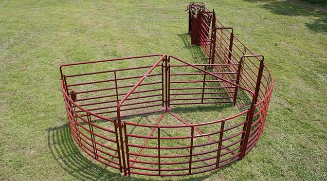 Open Sweep Cattle System, 180 Degrees with 20 ft Adjustable Alley - view 3