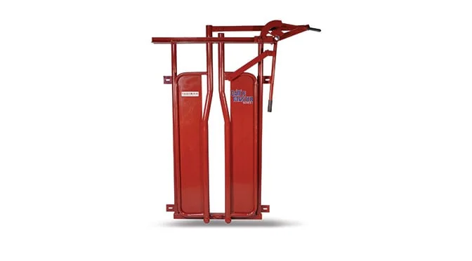 CattleMaster Series 3 Cattle Squeeze Chute - view 3