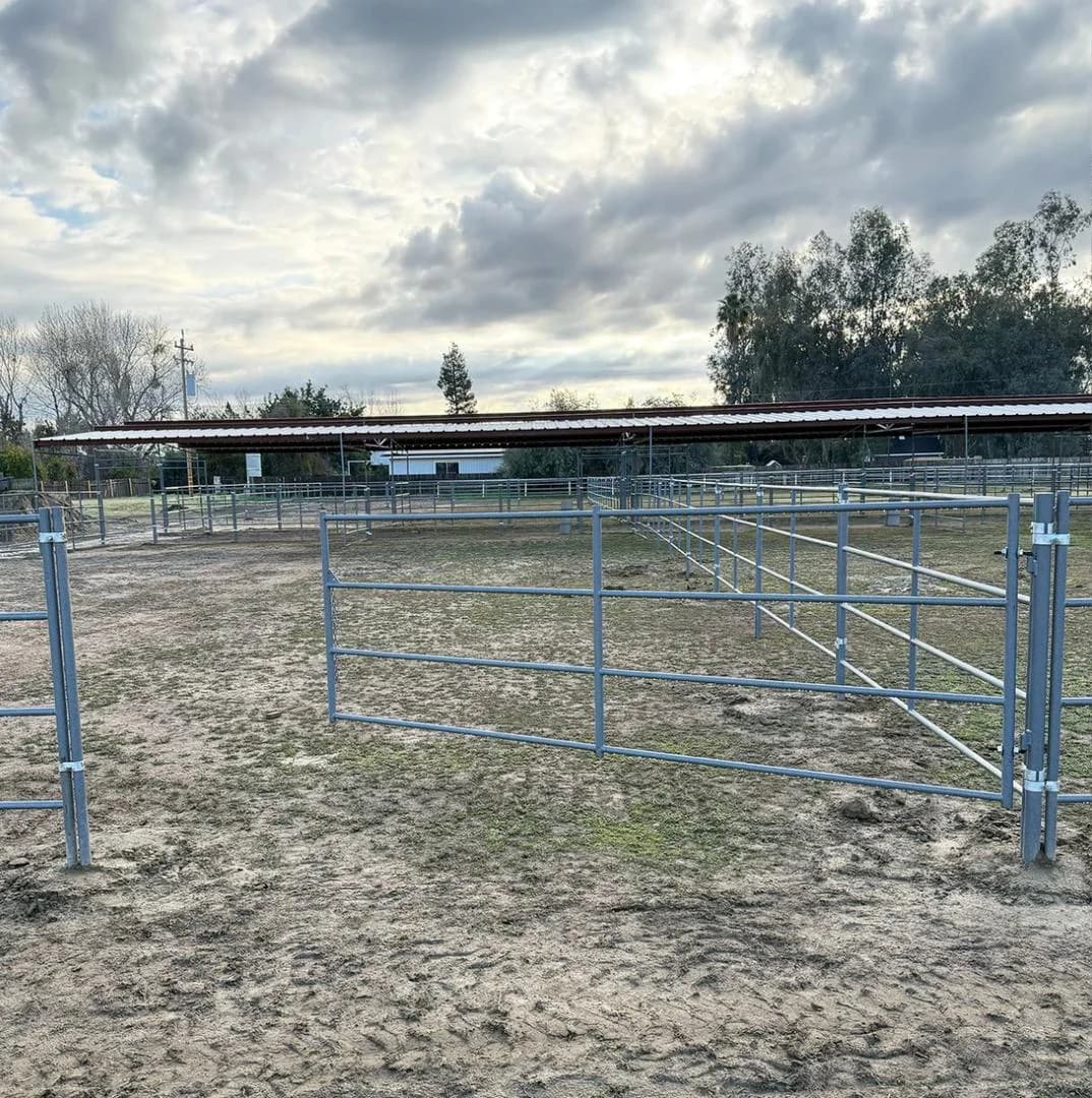 Standard Arena Swing Gate 4 ft × 12 ft (5-Rail) 14 Gauge, view 3