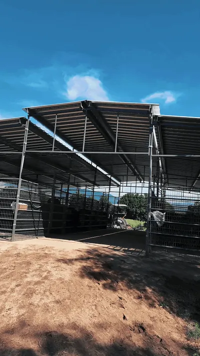 Pro Equine Facility Mare Motel | Fully Covered 12×24 Stalls | 6 ft Welded Wire Panels — product detail photo