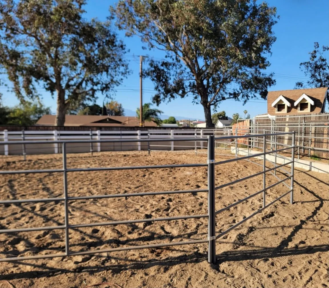 Premium 10×5 Horse Corral Panel (5 Rail) 1-5/8" 14 Gauge Steel — product detail photo